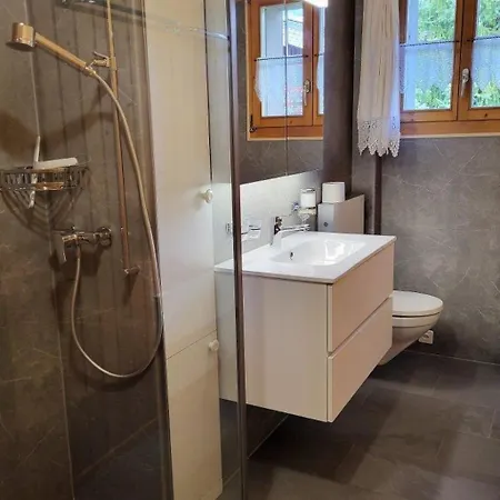 Berna 2- Stock By Interhome Lenk